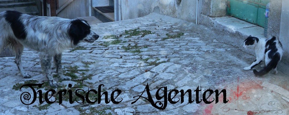 Tierische Agenten