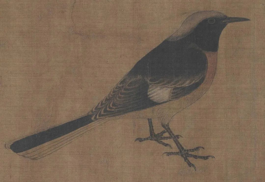 古代工笔花鸟画名家黄筌《写生珍禽图》
