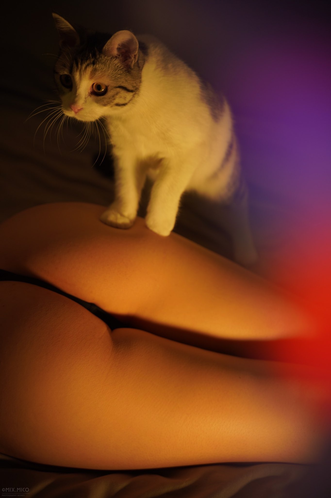 搜集的妹子图片（一百二十七）-美臀第三期[102P]