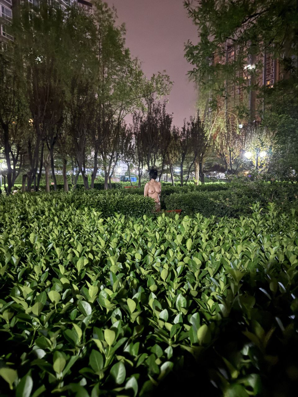 网友征服的反差婊精选3[99P]